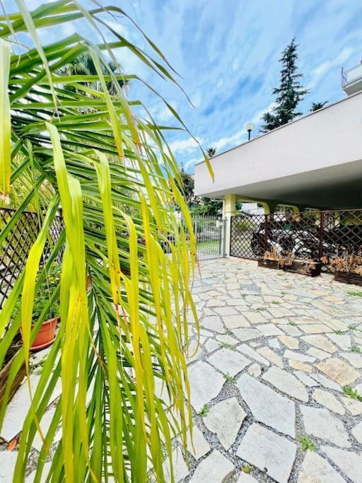 סנרמו Suite Dei Fiori - Luxury Open Space מראה חיצוני תמונה